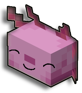 axolocraft sourire